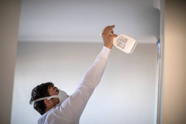 Best Mold Remediation  in Fulton, MS