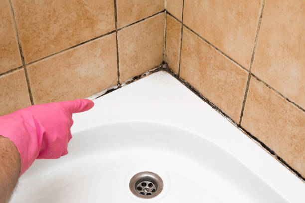 Best Emergency Mold Removal  in Fulton, MS